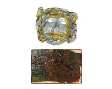 Κόλλα ρευστή Vinyl Glue διάφανη 80 ml  Κόλλες - Συγκολλητικά